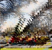 The Orange Society of Model Engineers - Miniature Train Rides - Accommodation Directory