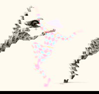 The Australian Ballet presents Harlequinade - Accommodation Directory