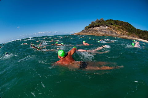 The Straddie Salute Triathlon Festival - Accommodation Directory 1