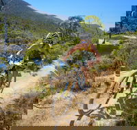 TreX Cross Triathlon Series  Snowy Mountains - Accommodation Directory