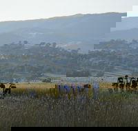 Tumut Cycle Classic - Accommodation Directory