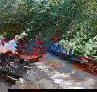 Twilight Run   Willans Hill Miniature Railway - Accommodation Directory