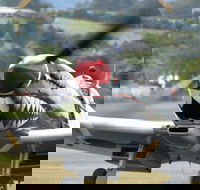 Wings Over Illawarra - Accommodation Directory