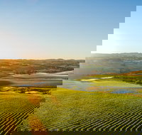 Wine and Food at Altitude - Accommodation Directory