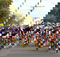 Woody's Murray to Moyne - Accommodation Directory