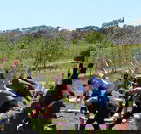 Yoga in the Vines - Accommodation Directory