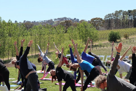 Yoga In The Vines - Accommodation Directory 0