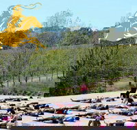Yoga in the Vines - Accommodation Directory