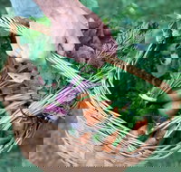 Orange Farmers Market - Accommodation Directory