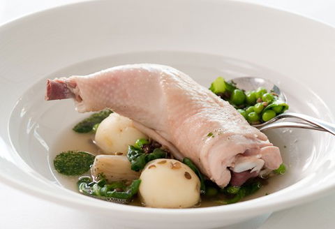 ROCKET Restaurant - Accommodation Directory 3