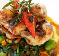 Stella Italian Kitchen  Pizzeria - Accommodation Directory