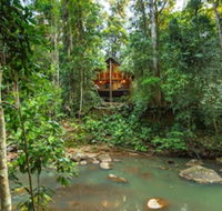 The Canopy Rainforest Treehouses and Wildlife Sanctuary - Accommodation Directory