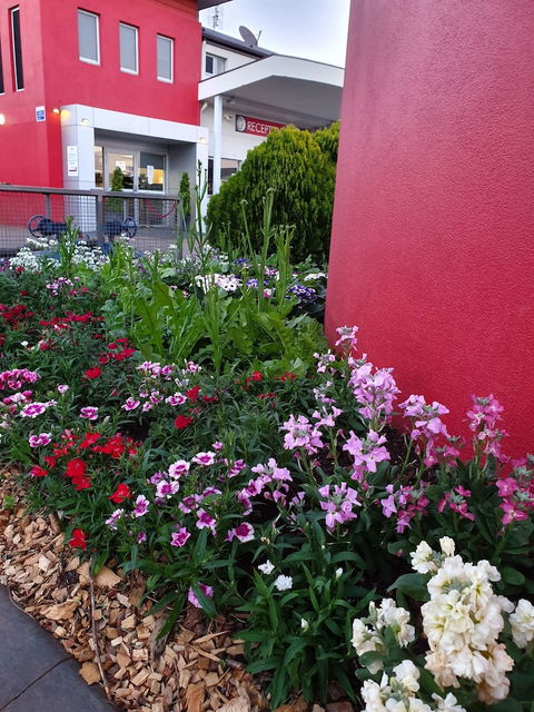 City Golf Club Motel - Accommodation Directory 2