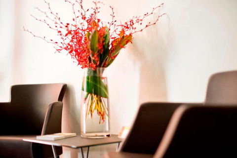 Adelaide Paringa - Accommodation Directory 2