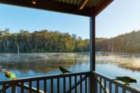 RAC Karri Valley Resort - Accommodation Directory 5