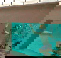 Novotel Brisbane Airport - Accommodation Directory