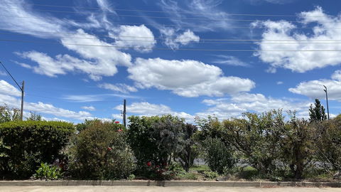 Sapphire City Motor Inn, Inverell - Accommodation Directory 3