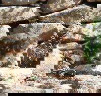 Jenolan Caves House - Accommodation Directory