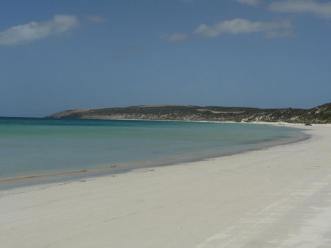Fareview Beach House - Accommodation Directory 4