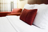 Pinnacles Beach Backpackers - Accommodation Directory 0
