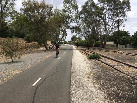 Bluebird Cottage - Accommodation Directory 3