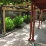 Bluebird Cottage - Accommodation Directory 0