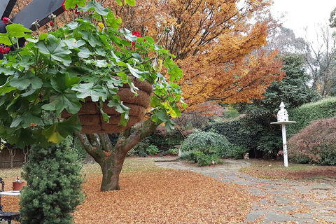 Villa DAmour - Accommodation Directory 2