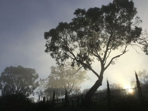 Barossa White House - Accommodation Directory 3