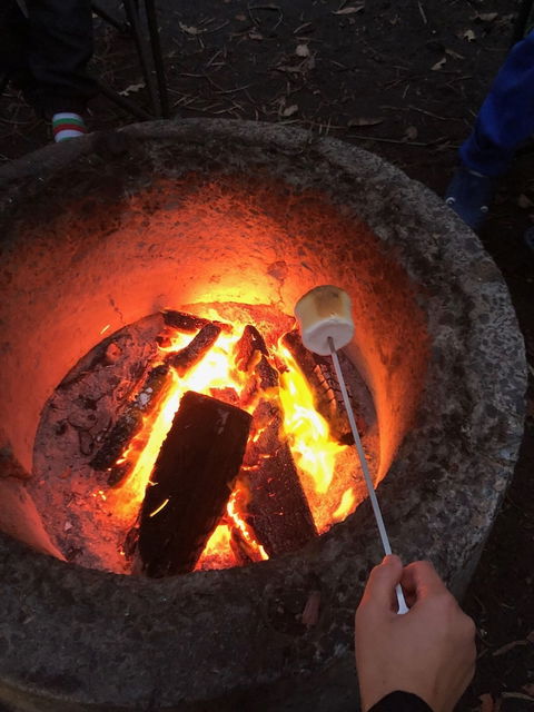 WA Wilderness - Accommodation Directory 1