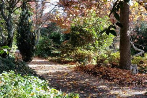 A Winter Rose - Accommodation Directory 1