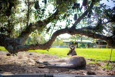 Waterfall Springs Retreat And Wildlife Sanctuary - Accommodation Directory 5