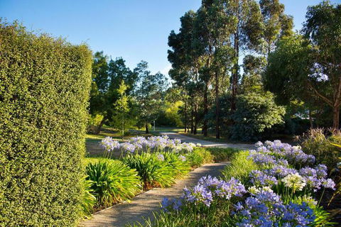 Alvie - Accommodation Directory 4