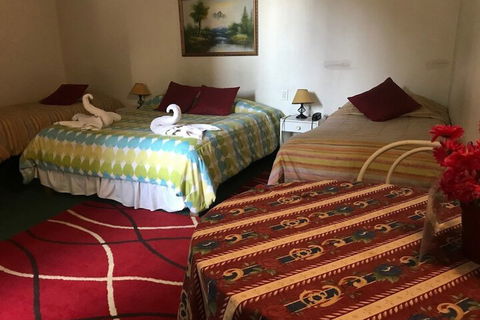 Cameron Lodge Cottage - Accommodation Directory 6