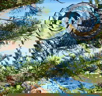 Mad Monkey Coogee Beach Hostel - Accommodation Directory