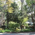 Two Sisters Chalets - Accommodation Directory 1