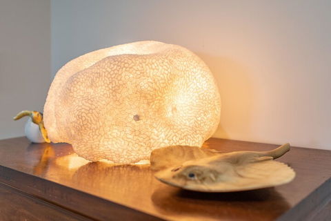 Airlie Guest House - Accommodation Directory 2