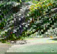 Sanctuary in The Pocket - Accommodation Directory