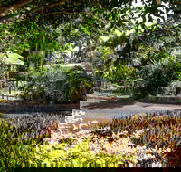 Country Comfort Bundaberg - Accommodation Directory