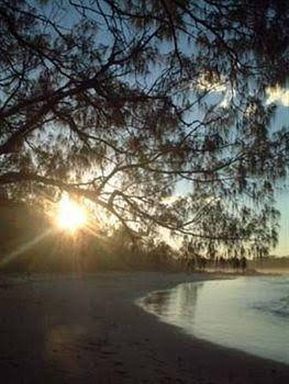 Sans Souci - Accommodation Directory 0