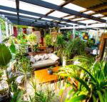 Jaspers Apartments - Accommodation Directory