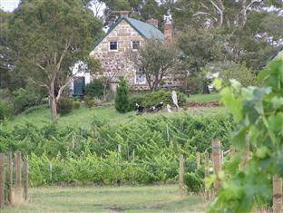 Cranbrook TAS Accommodation Directory