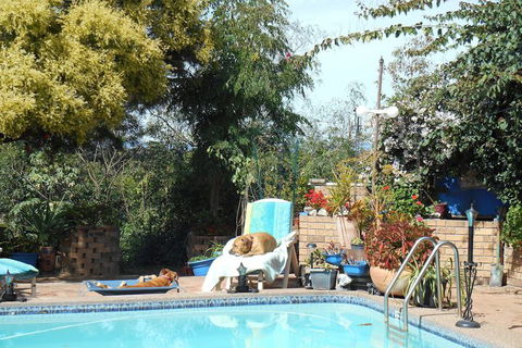 Pindari House - Accommodation Directory 3