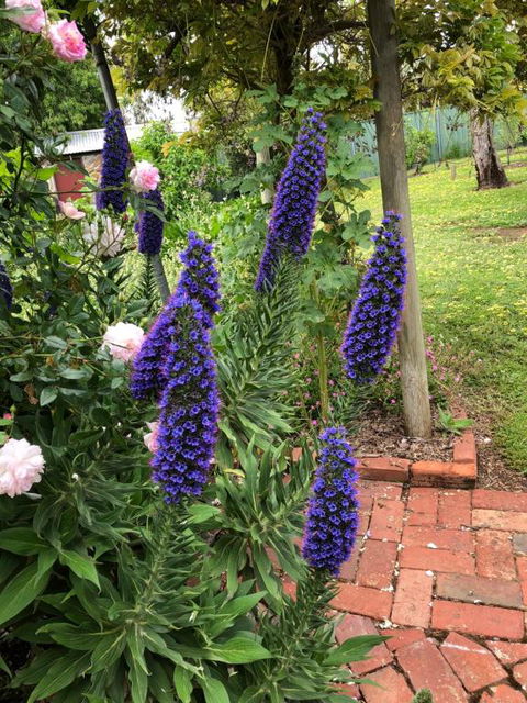 Barossa Barn Bed & Breakfast - Accommodation Directory 2