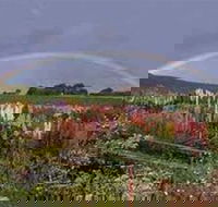 Boat Harbour Garden Cottages