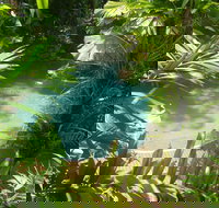 Palm Cove Tropic Apartments - Accommodation Directory