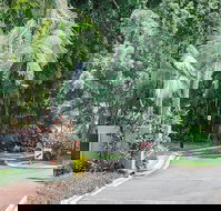 Oasis at Palm Cove - Accommodation Directory