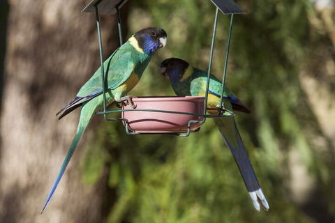 Kathys Place Bed And Breakfast - Accommodation Directory 2