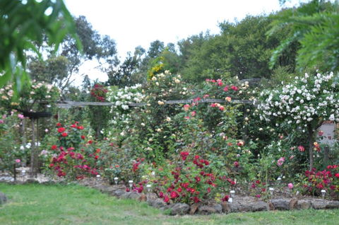 Fairy Wren Cottage Country To Coast Retreat - Accommodation Directory 6