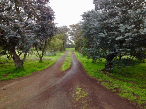 Fairy Wren Cottage Country To Coast Retreat - Accommodation Directory 4