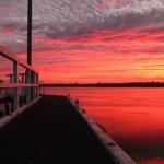 Fairy Wren Cottage Country To Coast Retreat - Accommodation Directory 0